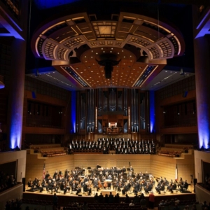 Das Rheingold / Fasolt (semi staged) – Meyerson Symphony Center, Dallas